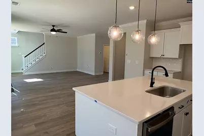 366 Rising Stream Way, Chapin, SC 29036 - Photo 6