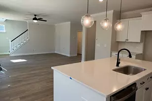 366 Rising Stream Way, Chapin, SC 29036 - Photo 6