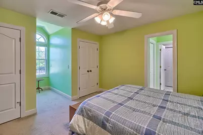 24 Clay Court, Chapin, SC 29036 - Photo 46