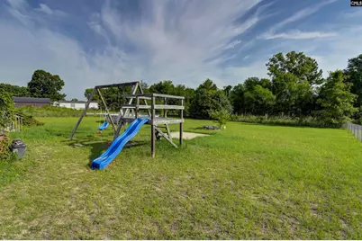 149 Wild Bird Lane, Gaston, SC 29053 - Photo 30