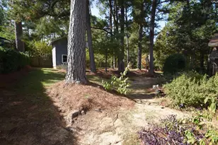 124 Boulters Lock Rd, Irmo, SC 29063 - Photo 62