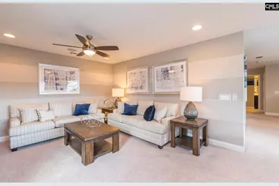 393 Mont Haven Place, Lexington, SC 29072 - Photo 16