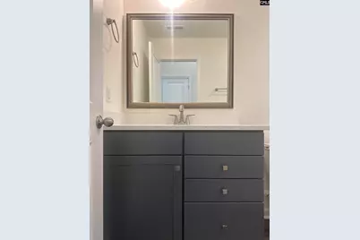 116 Prairie Grass Way, Columbia, SC 29212 - Photo 6