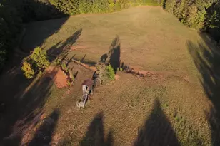 1348 Koon Trestle Rd, Pomaria, SC 29126 - Photo 8