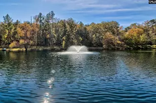 1348 Koon Trestle Rd, Pomaria, SC 29126 - Photo 64