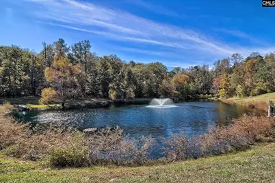 1348 Koon Trestle Road, Pomaria, SC 29126 - Photo 4