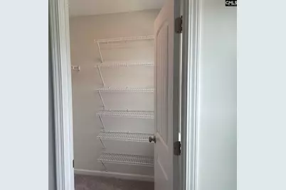 1522 Garrett Court, Chapin, SC 29036 - Photo 10