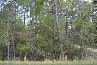 49 Club Lane, Winnsboro, SC 29180 - Photo 4