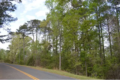 49 Club Lane, Winnsboro, SC 29180 - Photo 2