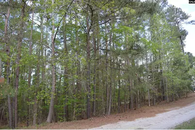 49 Club Lane, Winnsboro, SC 29180 - Photo 6