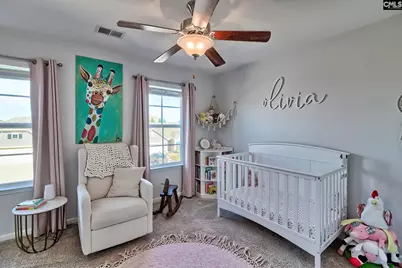 320 Hollow Cove Road, Chapin, SC 29036 - Photo 42