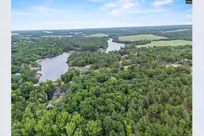 132 Forts Pond Road, Pelion, SC 29123 - Photo 46