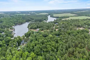 132 Forts Pond Rd, Pelion, SC 29123 - Photo 46