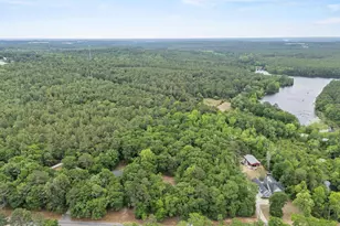 132 Forts Pond Rd, Pelion, SC 29123 - Photo 54