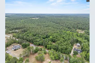 132 Forts Pond Road, Pelion, SC 29123 - Photo 50