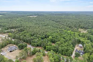 132 Forts Pond Rd, Pelion, SC 29123 - Photo 50
