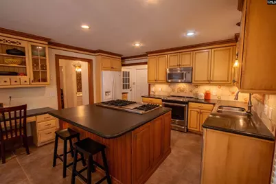 132 Forts Pond Road, Pelion, SC 29123 - Photo 10