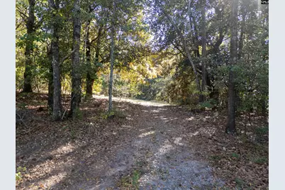 132 Forts Pond Road, Pelion, SC 29123 - Photo 50
