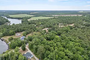 132 Forts Pond Rd, Pelion, SC 29123 - Photo 48