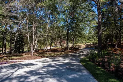 132 Forts Pond Road, Pelion, SC 29123 - Photo 48