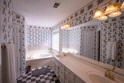 132 Forts Pond Road, Pelion, SC 29123 - Photo 26