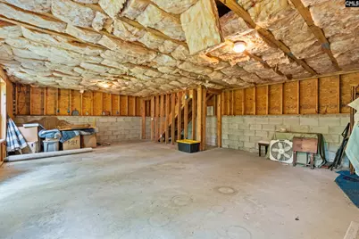 132 Forts Pond Road, Pelion, SC 29123 - Photo 38