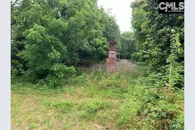 436 Peach Festival Road, Gilbert, SC 29054 - Photo 4