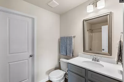 163 Calm Citadel Drive, Pelion, SC 29123 - Photo 24