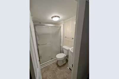 3669 Old Douglas Road, Blackstock, SC 29014 - Photo 20