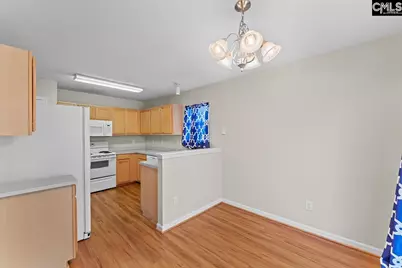 205 Whitewater Drive, Irmo, SC 29063 - Photo 12