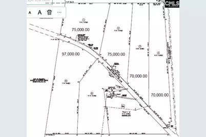 Lot 5 Water Tank Road, Pelion, SC 29123 - Photo 6