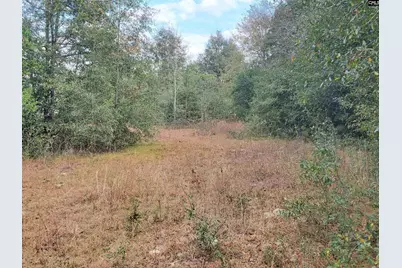 Lot 5 Water Tank Road, Pelion, SC 29123 - Photo 4