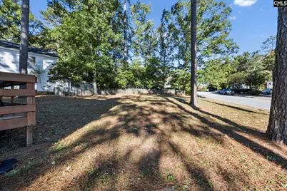 100 Mallard Lakes Court, Lexington, SC 29072 - Photo 38