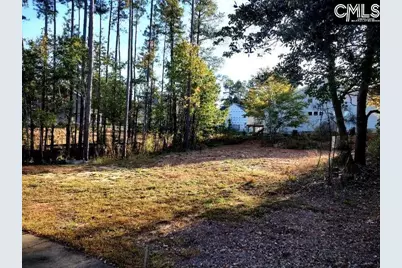 1013 Coogler Crossing Drive, Blythewood, SC 29016 - Photo 6