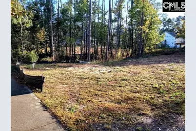 1013 Coogler Crossing Drive, Blythewood, SC 29016 - Photo 8