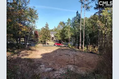 1013 Coogler Crossing Drive, Blythewood, SC 29016 - Photo 10
