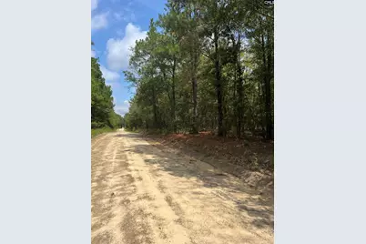 Bhl 1 Boise Cascade Road Bhl 1 #BHL 1, Bethune, SC 29009 - Photo 1