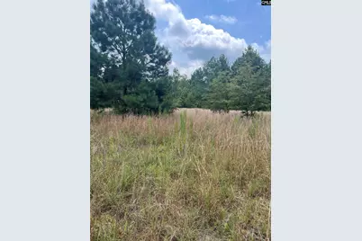 Bhl 1 Boise Cascade Road Bhl 1 #BHL 1, Bethune, SC 29009 - Photo 16