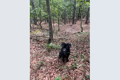 Bhl 1 Boise Cascade Road Bhl 1 #BHL 1, Bethune, SC 29009 - Photo 4