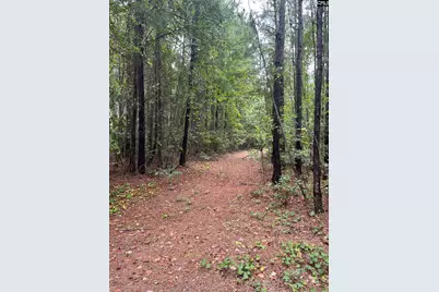 Bhl 1 Boise Cascade Road Bhl 1 #BHL 1, Bethune, SC 29009 - Photo 18