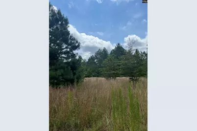 Bhl 1 Boise Cascade Road Bhl 1 #BHL 1, Bethune, SC 29009 - Photo 14