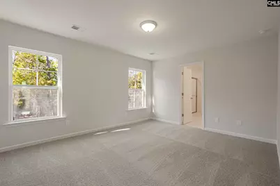 251 Boseman Road Road, Irmo, SC 29063 - Photo 26