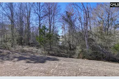 251 Boseman Road, Irmo, SC 29063 - Photo 46