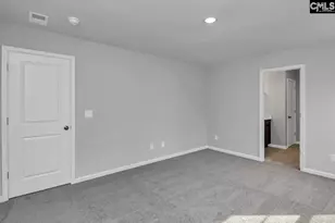 251 Boseman Road Rd, Irmo, SC 29063 - Photo 28
