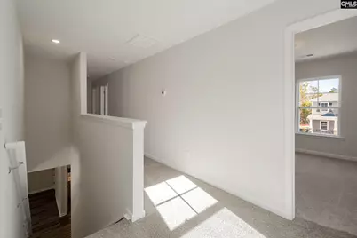 251 Boseman Road Road, Irmo, SC 29063 - Photo 24