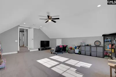 201 Edgewood Drive, Chapin, SC 29036 - Photo 20