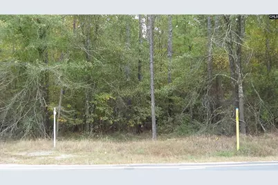 471 Turkey Farm Road, Blythewood, SC 29016 - Photo 2