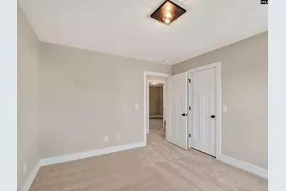 342 Murray Falls Lane, Chapin, SC 29036 - Photo 56