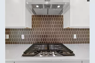 342 Murray Falls Lane, Chapin, SC 29036 - Photo 20