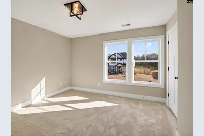 342 Murray Falls Lane, Chapin, SC 29036 - Photo 44